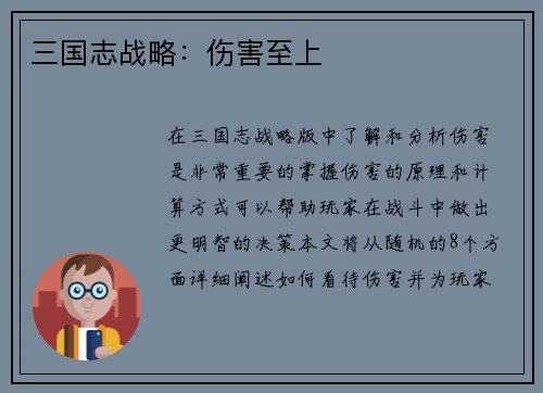 三国志战略：伤害至上